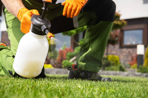Best Bed Bug Extermination  in Ferguson, MO