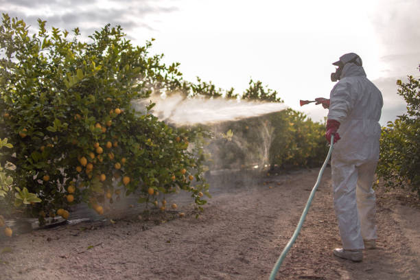 Professional Pest Control in Ferguson, MO