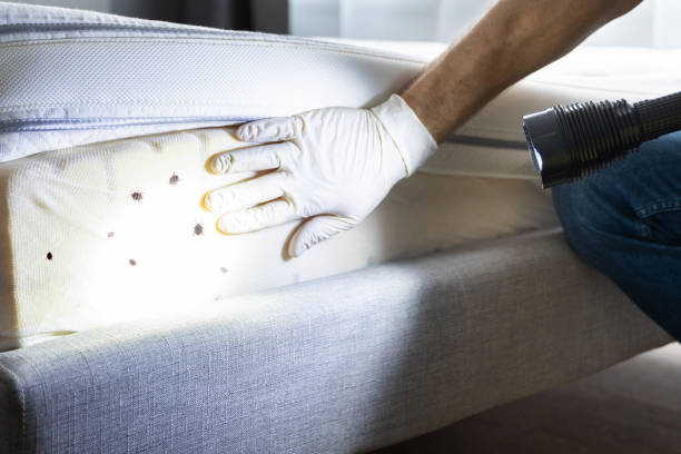 Pest Prevention Services in Ferguson, MO