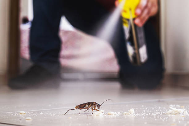  Ferguson, MO Pest Control Pros